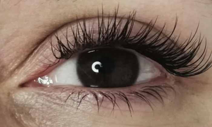 Œil brun après une pose naturelle d'extensions de cils cil à cil