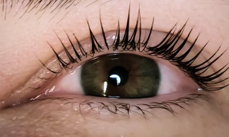 Œil brun-vert aux cils relevés et recourbés après un rehaussement de cils
